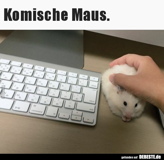 Komische Maus