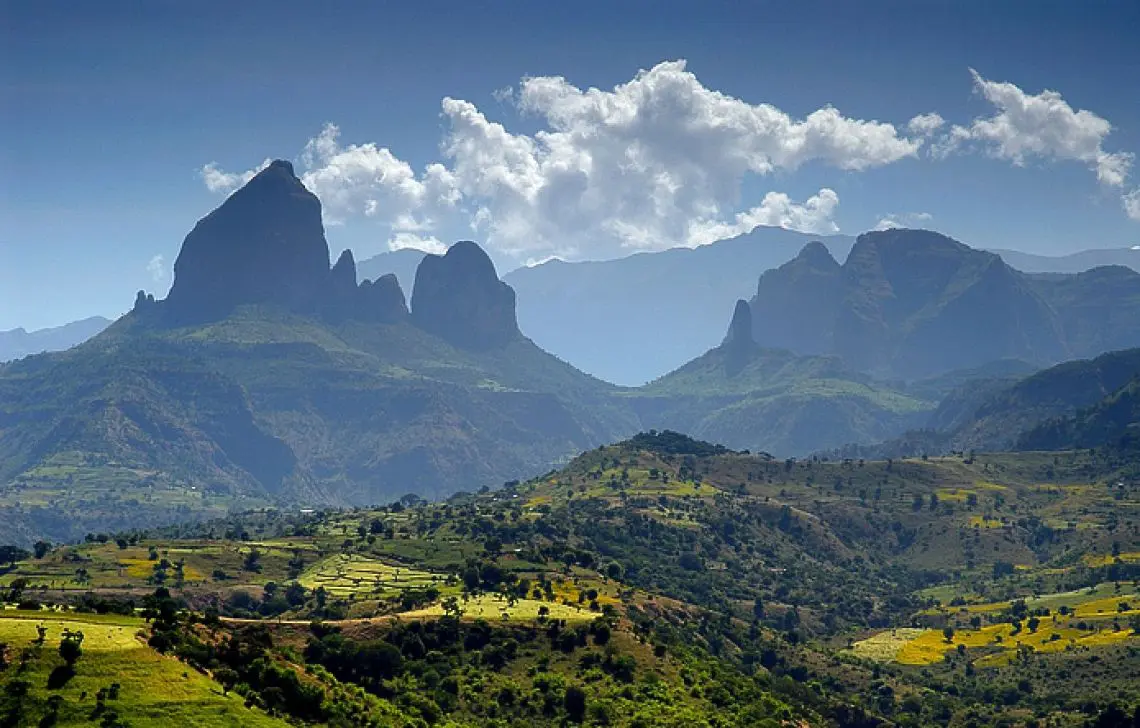 simien
