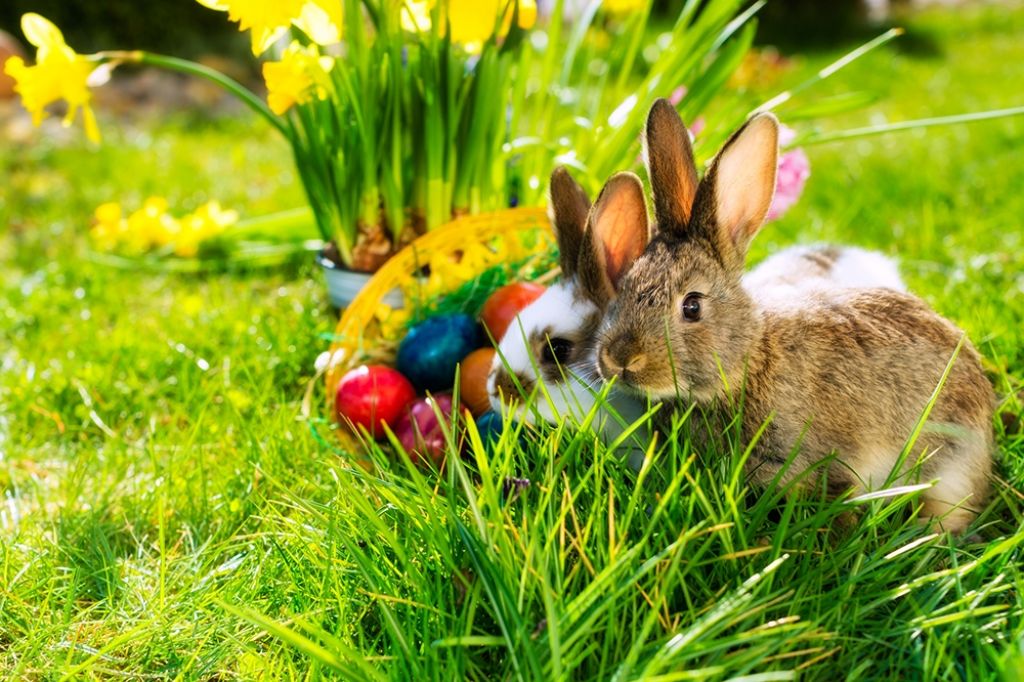 ostern